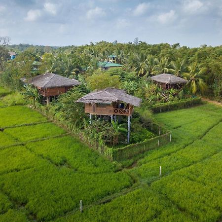 The Hideout Sigiriya Villa Bagian luar foto