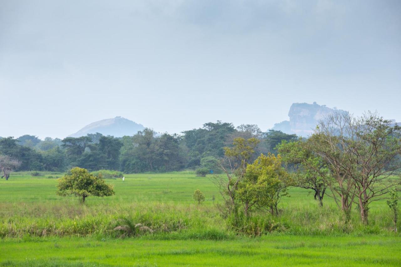 The Hideout Sigiriya Villa Bagian luar foto