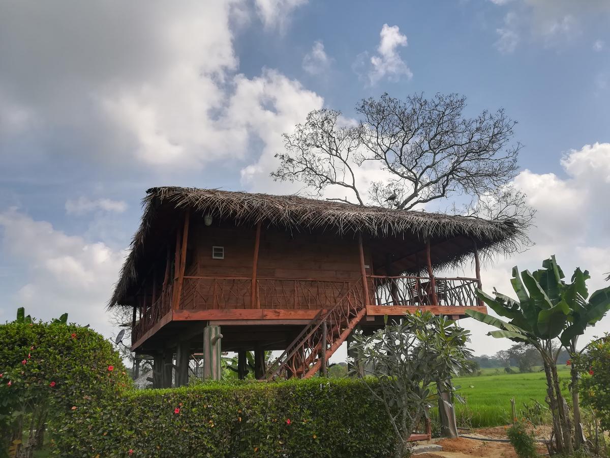 The Hideout Sigiriya Villa Bagian luar foto