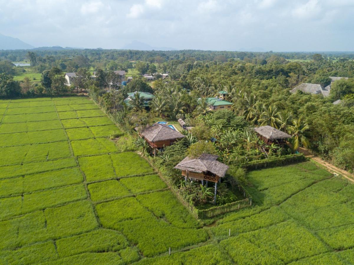 The Hideout Sigiriya Villa Bagian luar foto